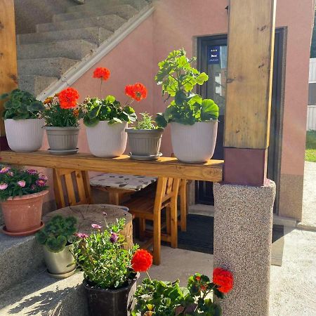 Apartman Kaljevic Apartment Zabljak  Ngoại thất bức ảnh