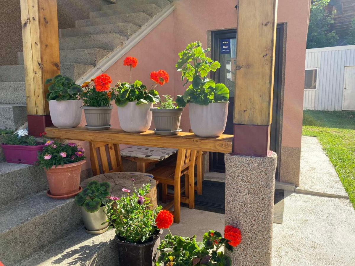 Apartman Kaljevic Apartment Zabljak  Ngoại thất bức ảnh